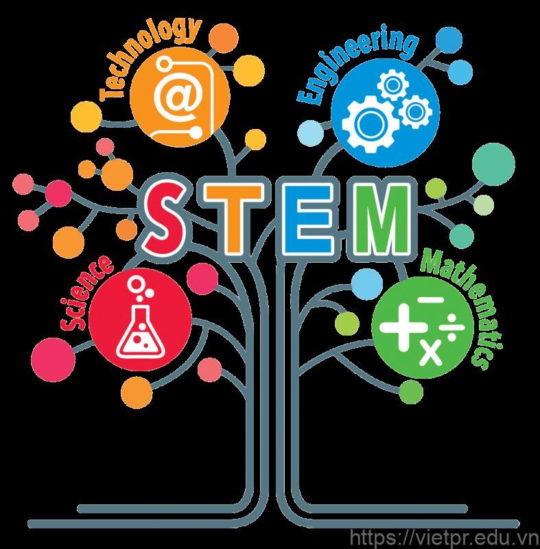 Các lĩnh vực chính của STEM