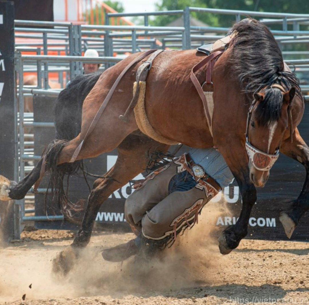 Trenten Montero Accident Video: A Deeper Look into the Tragic Rodeo Incident